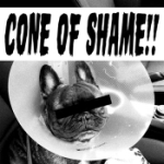 Cone of shame (Clear)