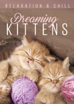 Dreaming Kittens
