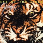 Eye of the tiger 1982