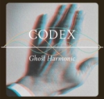 Codex (Hardback Book/Ltd)