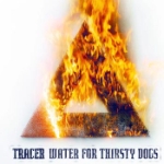 Water for thirsty dogs