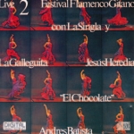 Festival Flamenco Gitano 2