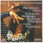 Festival Flamenco Gitano 1