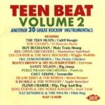 Teen Beat Vol 2