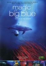 Discovery / Magic of big blue