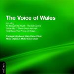 Voice Of Wales