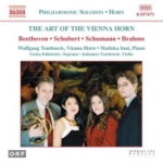 Art of the Vienna Horn
