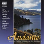 Andante / Music for Dreaming and Relaxing