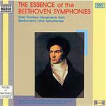 Essence Of The Symphonies