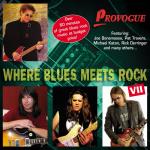 Where Blues Meets Rock VII