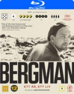 Bergman - Ett år Ett liv