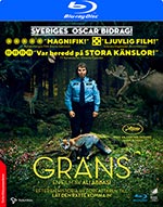 Gräns