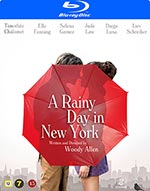 A rainy day in New York