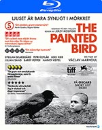 The painted bird