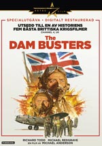 The dam busters / S.E.