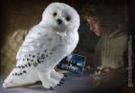 Harry Potter: Hedwig