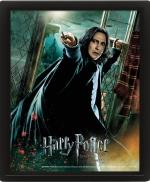 Wall Art - Harry Potter Snape 3D Framed 20x25