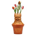 Harry Potter - Mandrake Shaped Vase