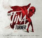 Many Faces of Tina Turner (Ltd)
