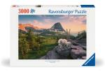 Ravensburger - Puzzle Foto City Landscape 3000p