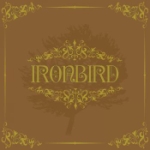Ironbird 2017