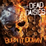 Burn it down (Picturedisc)