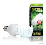 EXOTERRA - Reptile Uvb 100 Fluorescent lamp 25W E27