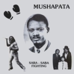 Saba-saba Fighting
