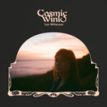 Cosmic wink 2018
