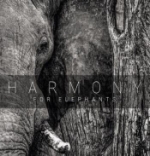 Harmony For Elephants