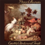 Exotic birds and fruit 1974 (Rem)