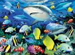 Royal & Langnickel - Paint by Numbers Reef Shark