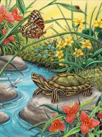 Royal & Langnickel - Paint by Numbers Turtle