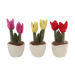 Take Me Home - Plant Plush Tulip