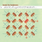Don`t Fly Into The Sun