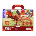 mierEdu - Magnetic Pad - T Rex