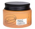 UpCircle - Night Cream w. Hyaluronic Acid & Niacinamide 55 ml