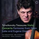Violin Concerto/Fantasies From Swan