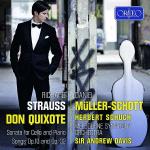Don Quixote & Cello Sonata