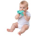 PLAYGRO - Eco Play Natural Rubber Pooky Puppy - Turquoise