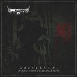 Ghostlands/Wounds from a bleeding -20