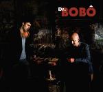 Dr Bobo