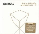 12 Inch Versions & Remixes