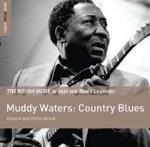 Rough Guide To Muddy Waters