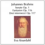 Brahms - Sonate / Fantasien / etc