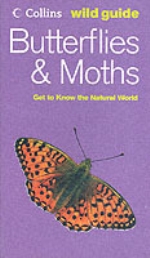 Butterflies And Moths