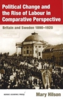 Political Change And The Rise Of Labour In Comparative Perspective - Britain And Sweden 1890-1920