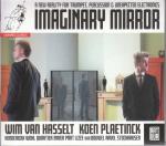 Imaginary Mirror