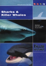 Killer instinct / Sharks & Killer whales