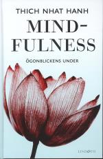Mindfulness - Ögonblickens Under